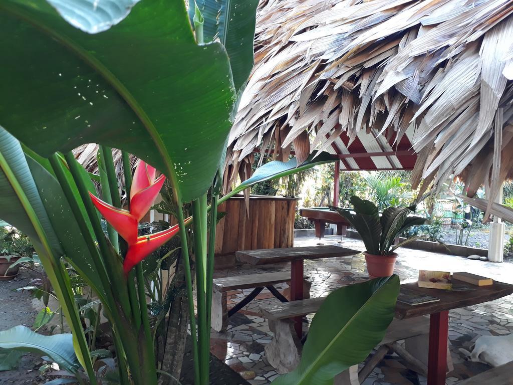 Talamanca Cabins Cahuita Dış mekan fotoğraf