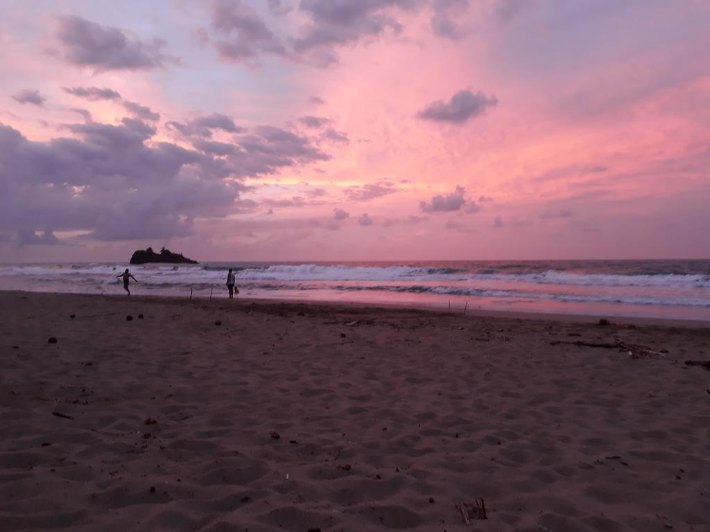 Talamanca Cabins Cahuita Dış mekan fotoğraf
